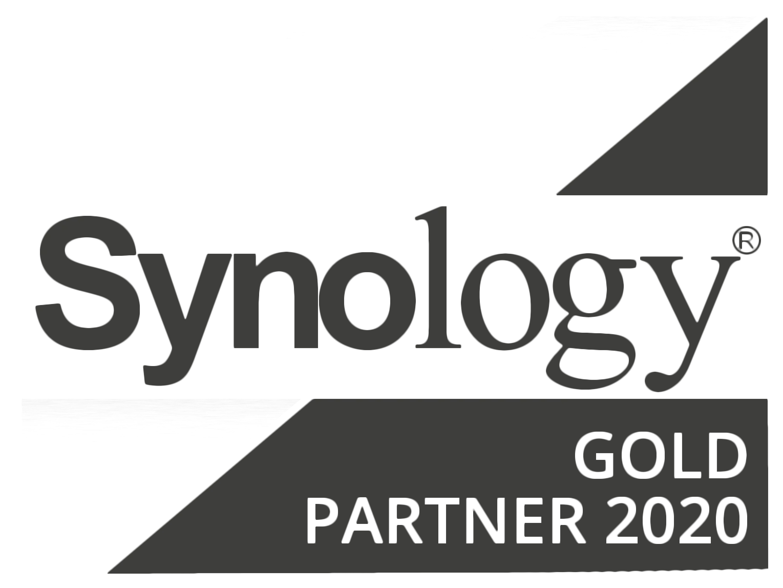 Logo: Synology, Gold Partner 2020